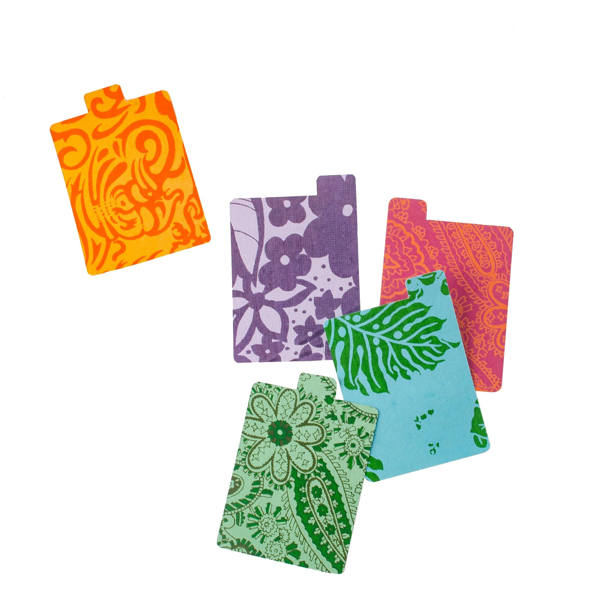 Seed Packet Organizer with Recycled Paper Dividers